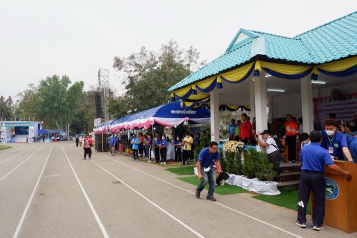 DSCF6779