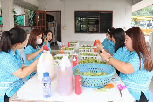 IMG 5242 (1)