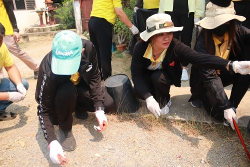 IMG 7198 (1)