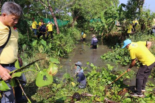 LINE ALBUM กิจกรรมกำจัดผักตบชวา-จิตอาสา-ปลูกต้นไ 10