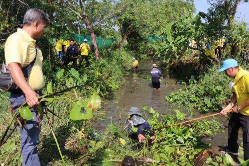 LINE ALBUM กิจกรรมกำจัดผักตบชวา-จิตอาสา-ปลูกต้นไ 11