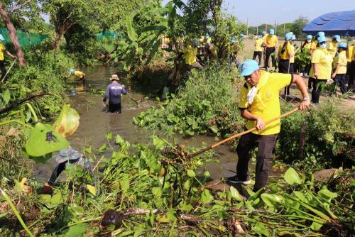LINE ALBUM กิจกรรมกำจัดผักตบชวา-จิตอาสา-ปลูกต้นไ 12