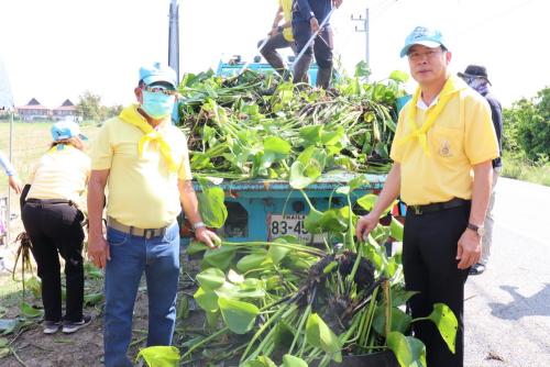 LINE ALBUM กิจกรรมกำจัดผักตบชวา-จิตอาสา-ปลูกต้นไ 13