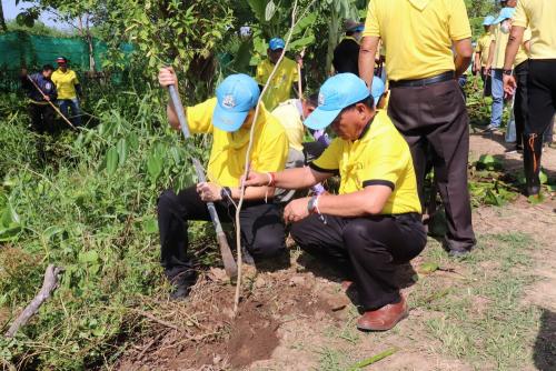 LINE ALBUM กิจกรรมกำจัดผักตบชวา-จิตอาสา-ปลูกต้นไ 20