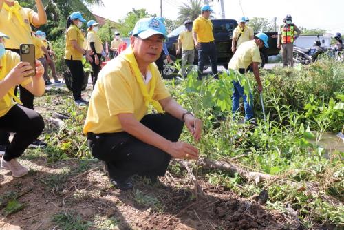 LINE ALBUM กิจกรรมกำจัดผักตบชวา-จิตอาสา-ปลูกต้นไ 23