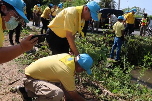 LINE ALBUM กิจกรรมกำจัดผักตบชวา-จิตอาสา-ปลูกต้นไ 25