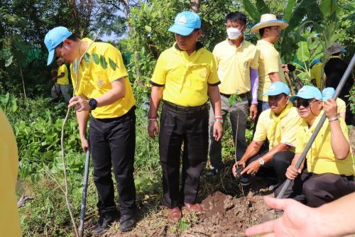 LINE ALBUM กิจกรรมกำจัดผักตบชวา-จิตอาสา-ปลูกต้นไ 30