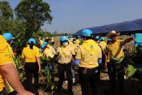 LINE ALBUM กิจกรรมกำจัดผักตบชวา-จิตอาสา-ปลูกต้นไ 36