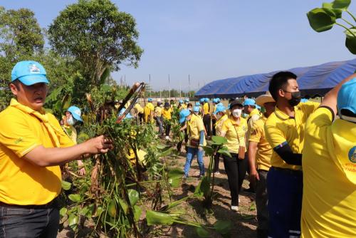 LINE ALBUM กิจกรรมกำจัดผักตบชวา-จิตอาสา-ปลูกต้นไ 38