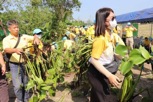 LINE ALBUM กิจกรรมกำจัดผักตบชวา-จิตอาสา-ปลูกต้นไ 44