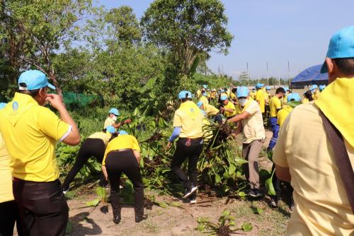 LINE ALBUM กิจกรรมกำจัดผักตบชวา-จิตอาสา-ปลูกต้นไ 45