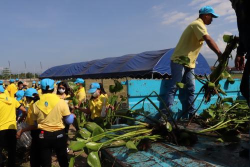 LINE ALBUM กิจกรรมกำจัดผักตบชวา-จิตอาสา-ปลูกต้นไ 46