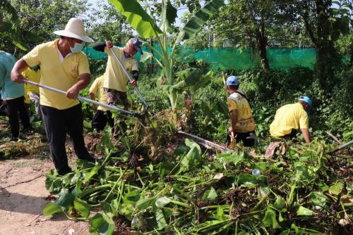 LINE ALBUM กิจกรรมกำจัดผักตบชวา-จิตอาสา-ปลูกต้นไ 49