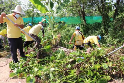 LINE ALBUM กิจกรรมกำจัดผักตบชวา-จิตอาสา-ปลูกต้นไ 50