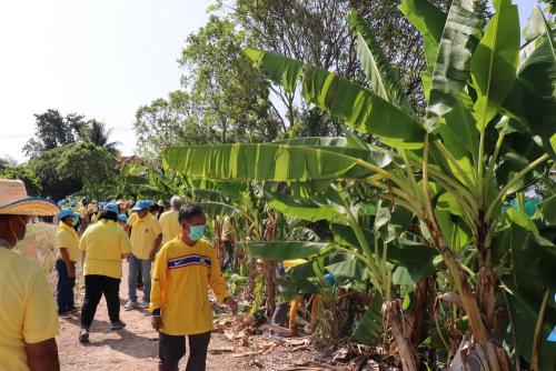 LINE ALBUM กิจกรรมกำจัดผักตบชวา-จิตอาสา-ปลูกต้นไ 51