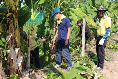 LINE ALBUM กิจกรรมกำจัดผักตบชวา-จิตอาสา-ปลูกต้นไ 52