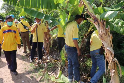 LINE ALBUM กิจกรรมกำจัดผักตบชวา-จิตอาสา-ปลูกต้นไ 54