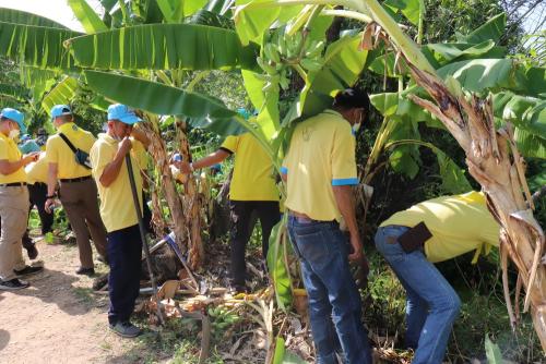 LINE ALBUM กิจกรรมกำจัดผักตบชวา-จิตอาสา-ปลูกต้นไ 55