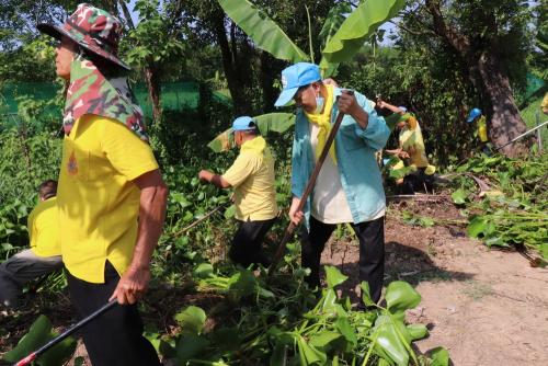 LINE ALBUM กิจกรรมกำจัดผักตบชวา-จิตอาสา-ปลูกต้นไ 56