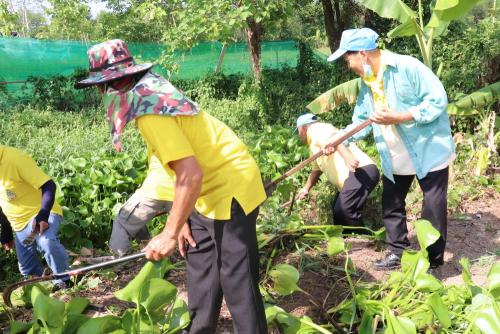 LINE ALBUM กิจกรรมกำจัดผักตบชวา-จิตอาสา-ปลูกต้นไ 57