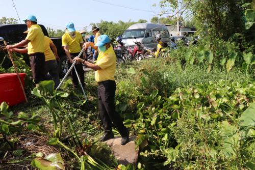 LINE ALBUM กิจกรรมกำจัดผักตบชวา-จิตอาสา-ปลูกต้นไ 61