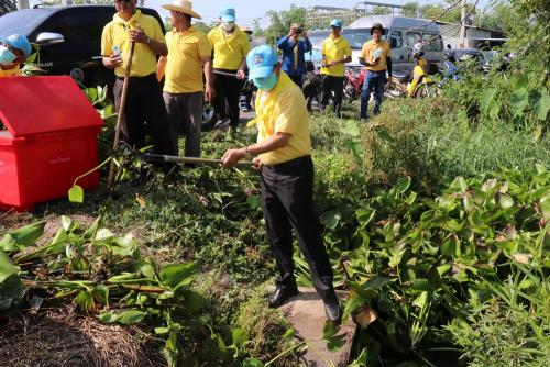 LINE ALBUM กิจกรรมกำจัดผักตบชวา-จิตอาสา-ปลูกต้นไ 62