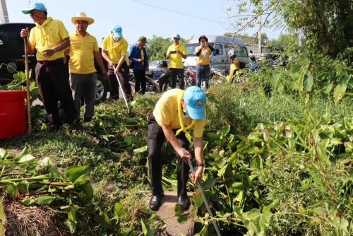 LINE ALBUM กิจกรรมกำจัดผักตบชวา-จิตอาสา-ปลูกต้นไ 63