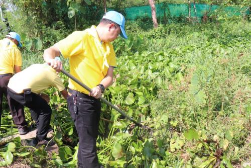 LINE ALBUM กิจกรรมกำจัดผักตบชวา-จิตอาสา-ปลูกต้นไ 66