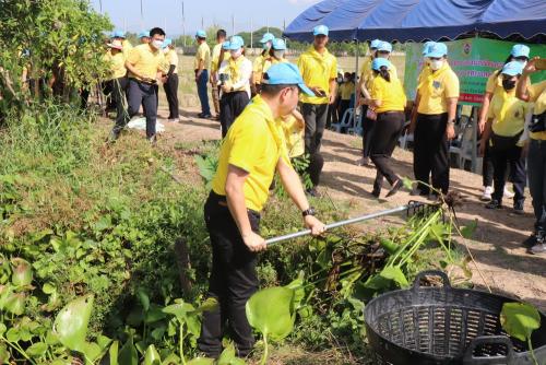 LINE ALBUM กิจกรรมกำจัดผักตบชวา-จิตอาสา-ปลูกต้นไ 67