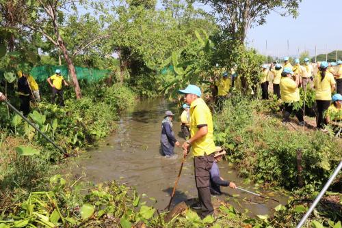 LINE ALBUM กิจกรรมกำจัดผักตบชวา-จิตอาสา-ปลูกต้นไ 7